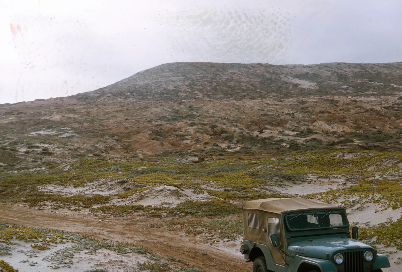 20/ looking Southeast from Tender Beach at Northeast end of island- note: Abronia covering dunes, 65-200 & SN-117