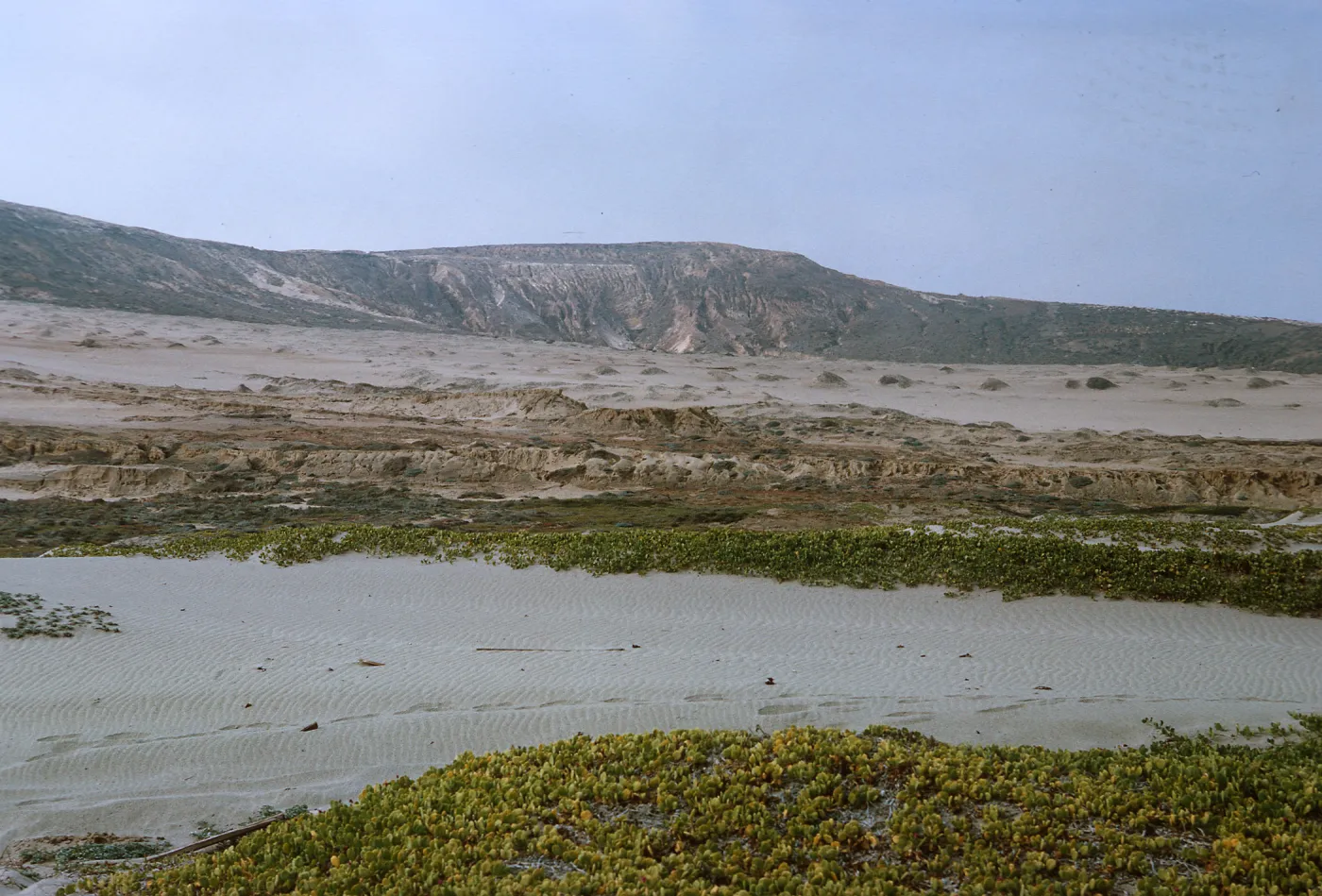 20/ looking West-Southwest from Tender Beach, over large dune & towards North slope of island, 65-203 & SN-180