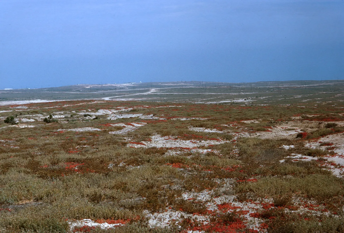 23/ looking Southeast from Benchmark Δ 818, 65-210 & SN-127