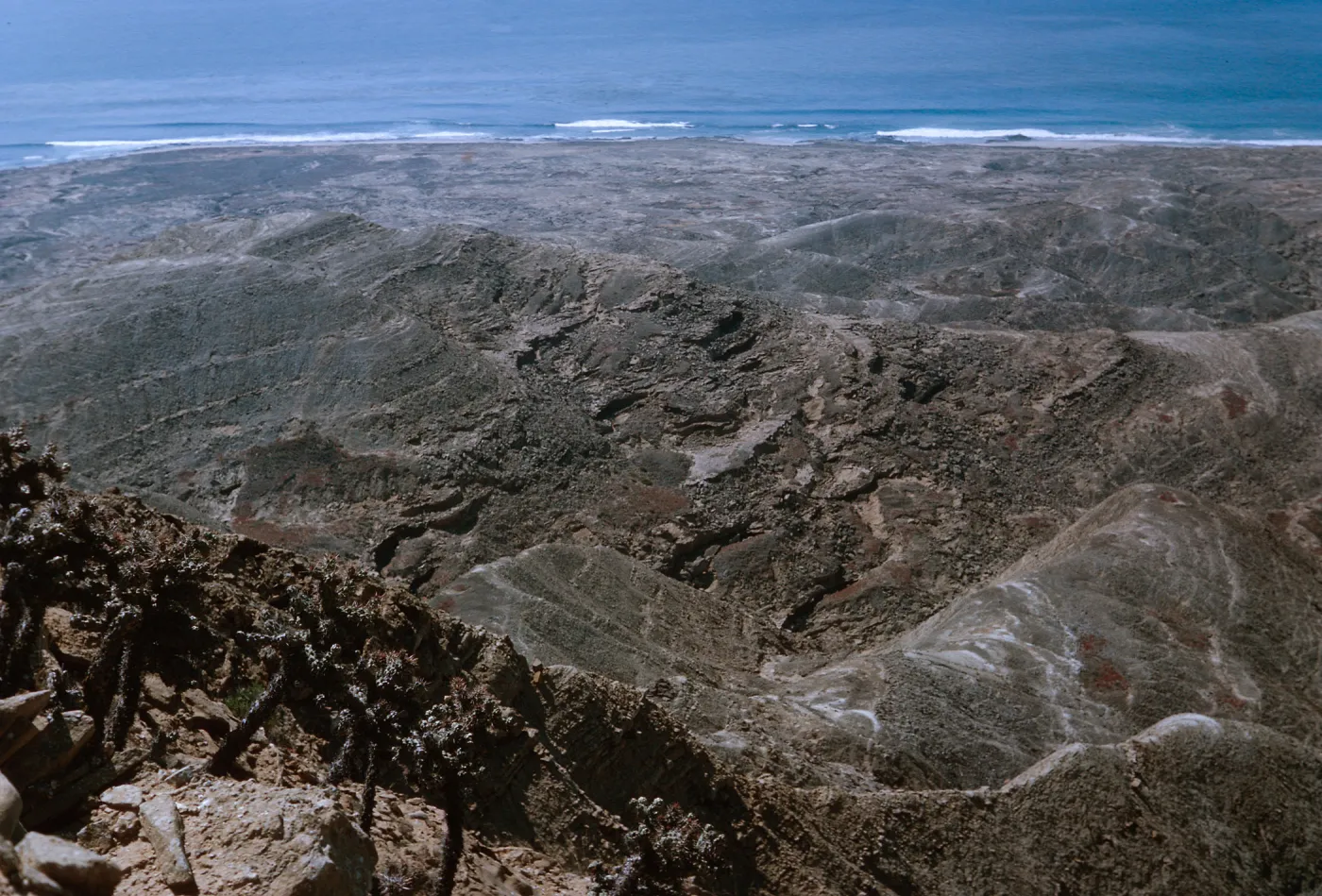 24/ looking South from cactus stand, 65-215 & SN-132