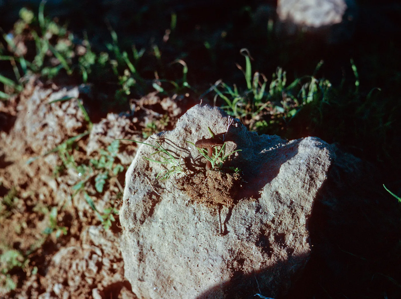 San Nicolas Island, 65-251 & SN-168