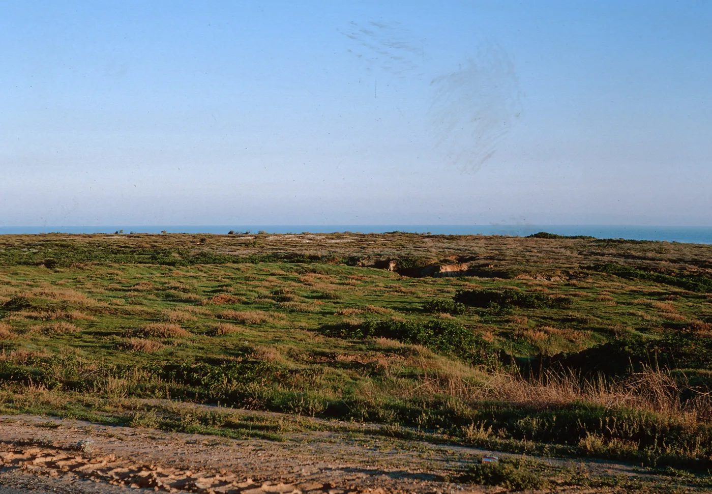 San Nicolas Island, 65-258 & SN-175