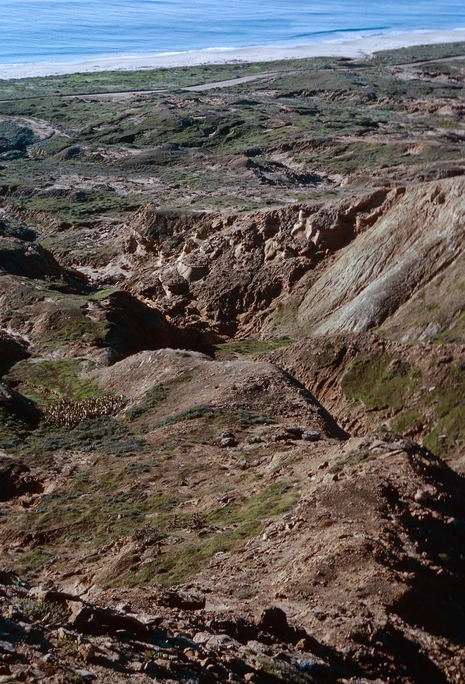San Nicolas Island, 65-274 & SN-191