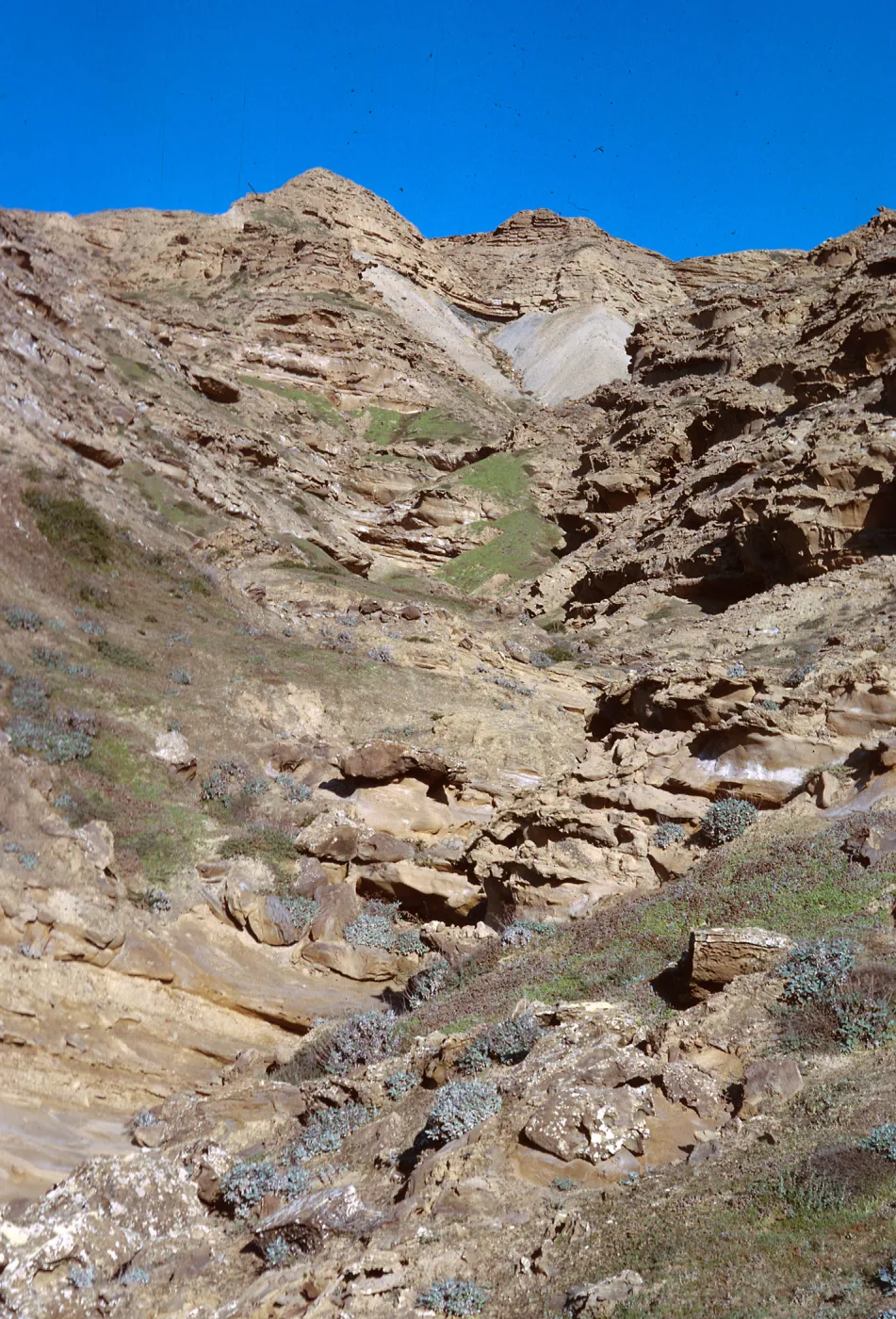 San Nicolas Island, 65-275 & SN-192