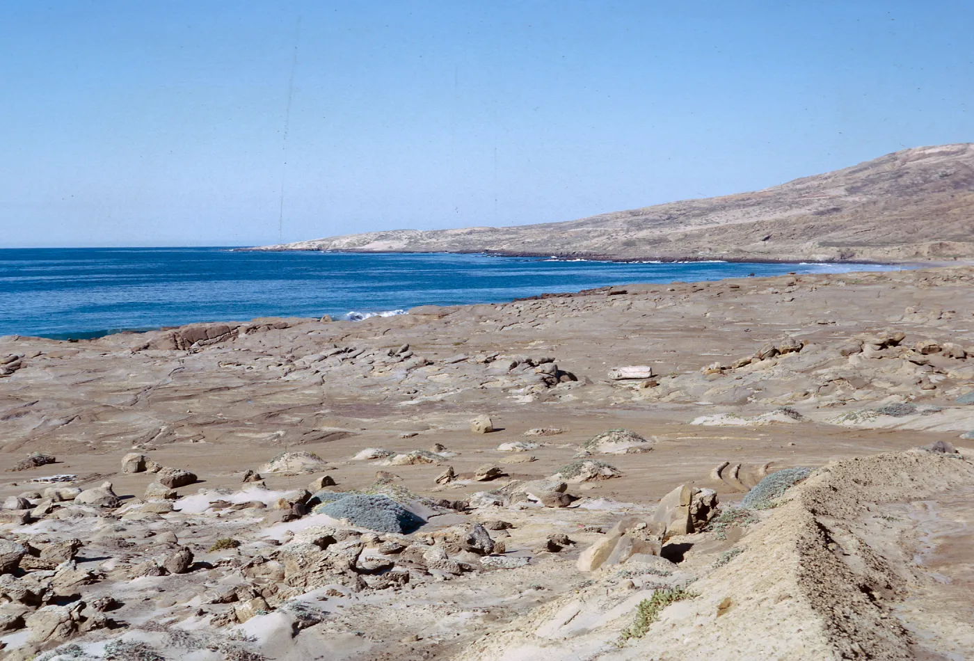 San Nicolas Island, 65-279 & SN-196