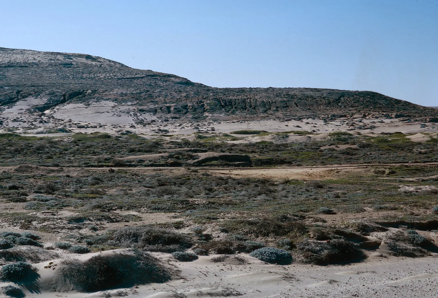San Nicolas Island, 65-294 & SN-211