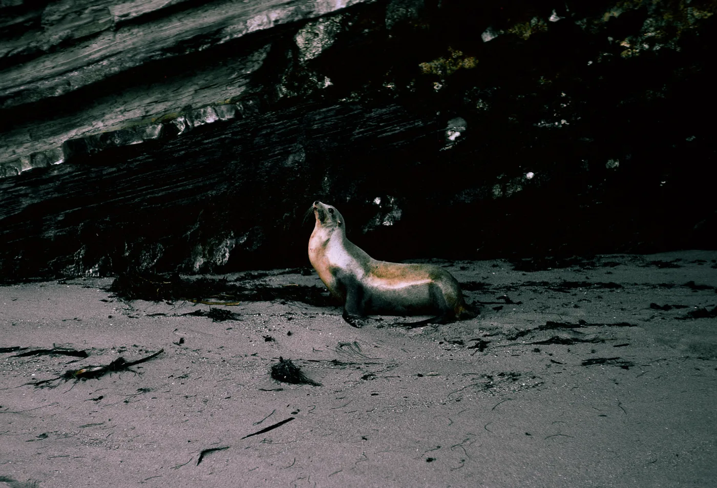 San Nicolas Island, 65-298 & SN-215