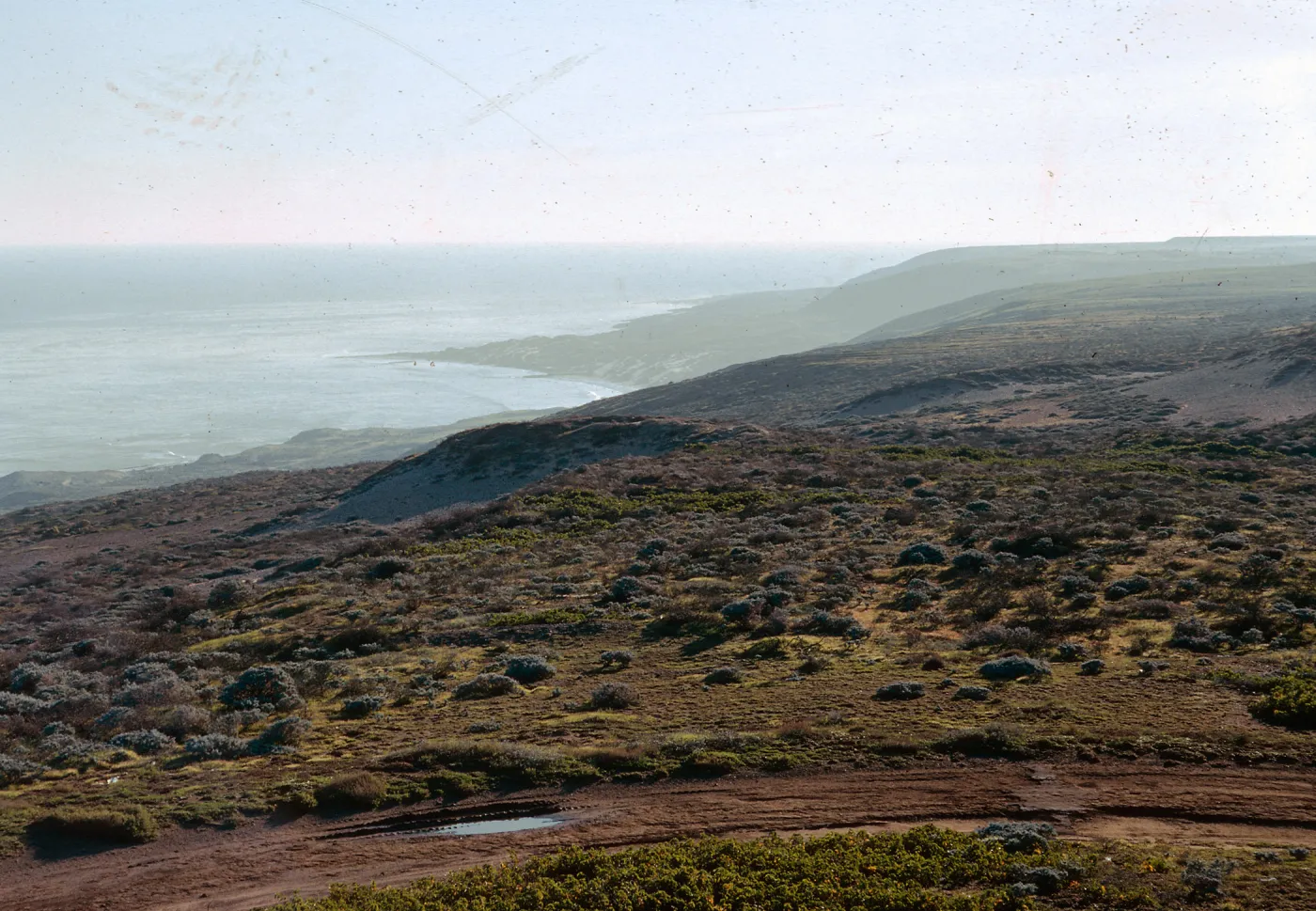 San Nicolas Island, 65-321 & SN-238