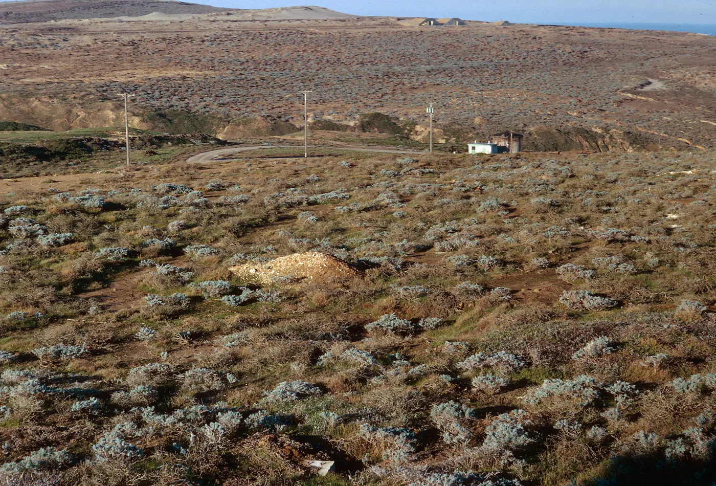 San Nicolas Island, 65-322 & SN-239