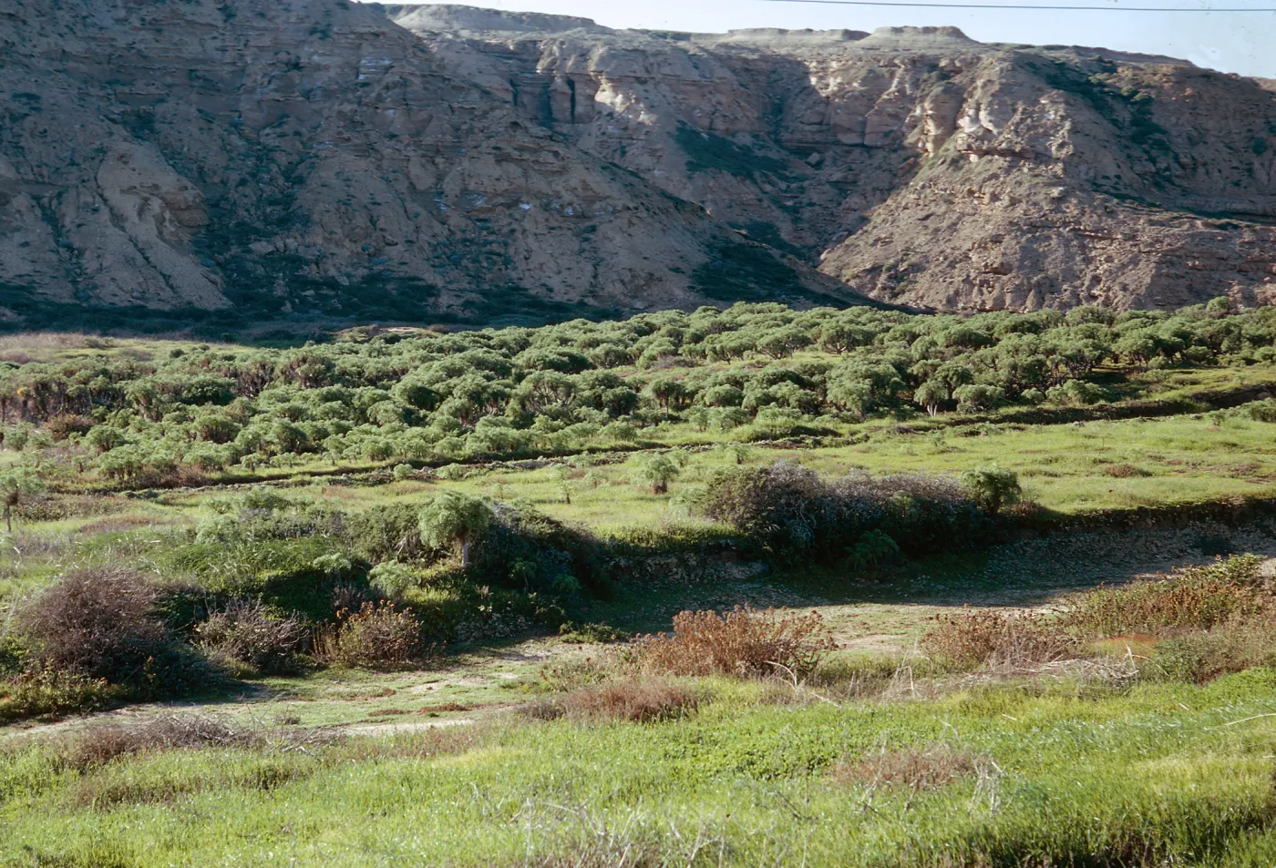San Nicolas Island, 65-335 & SN-252