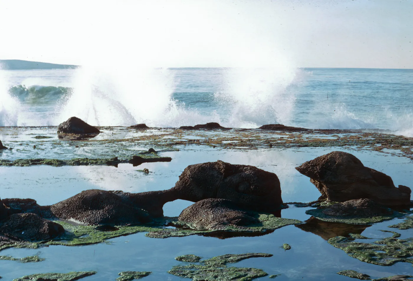 San Nicolas Island, 65-337 & SN-254