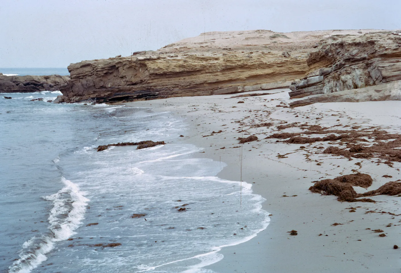 beach & sea cliffs, near Tender Beach, 66-17 & SN-273