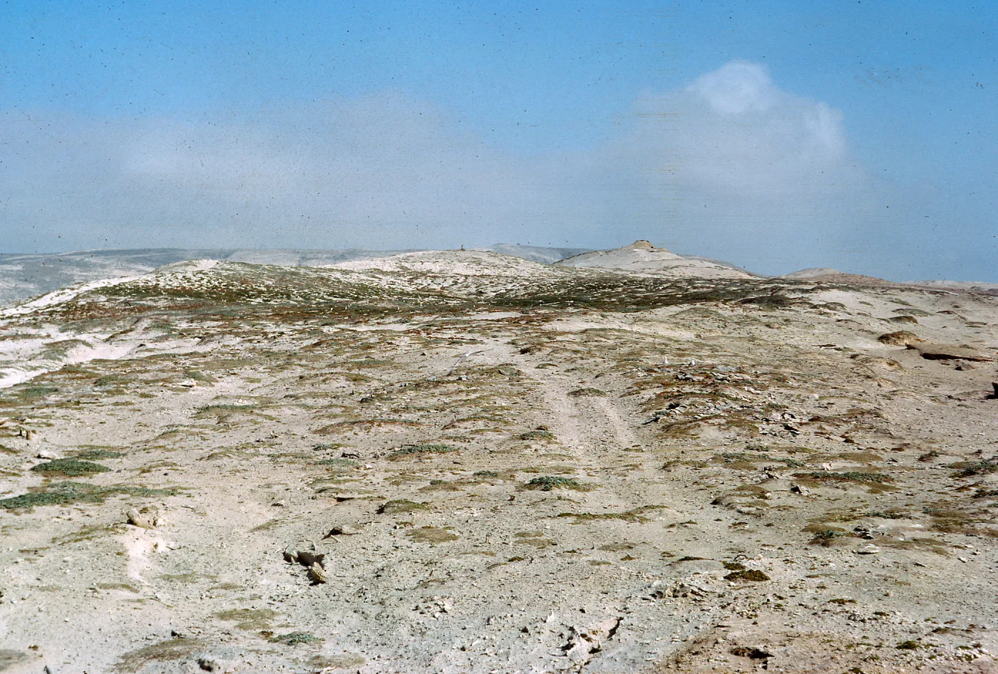 Site 4, North end of island, 66-22 & SN-278