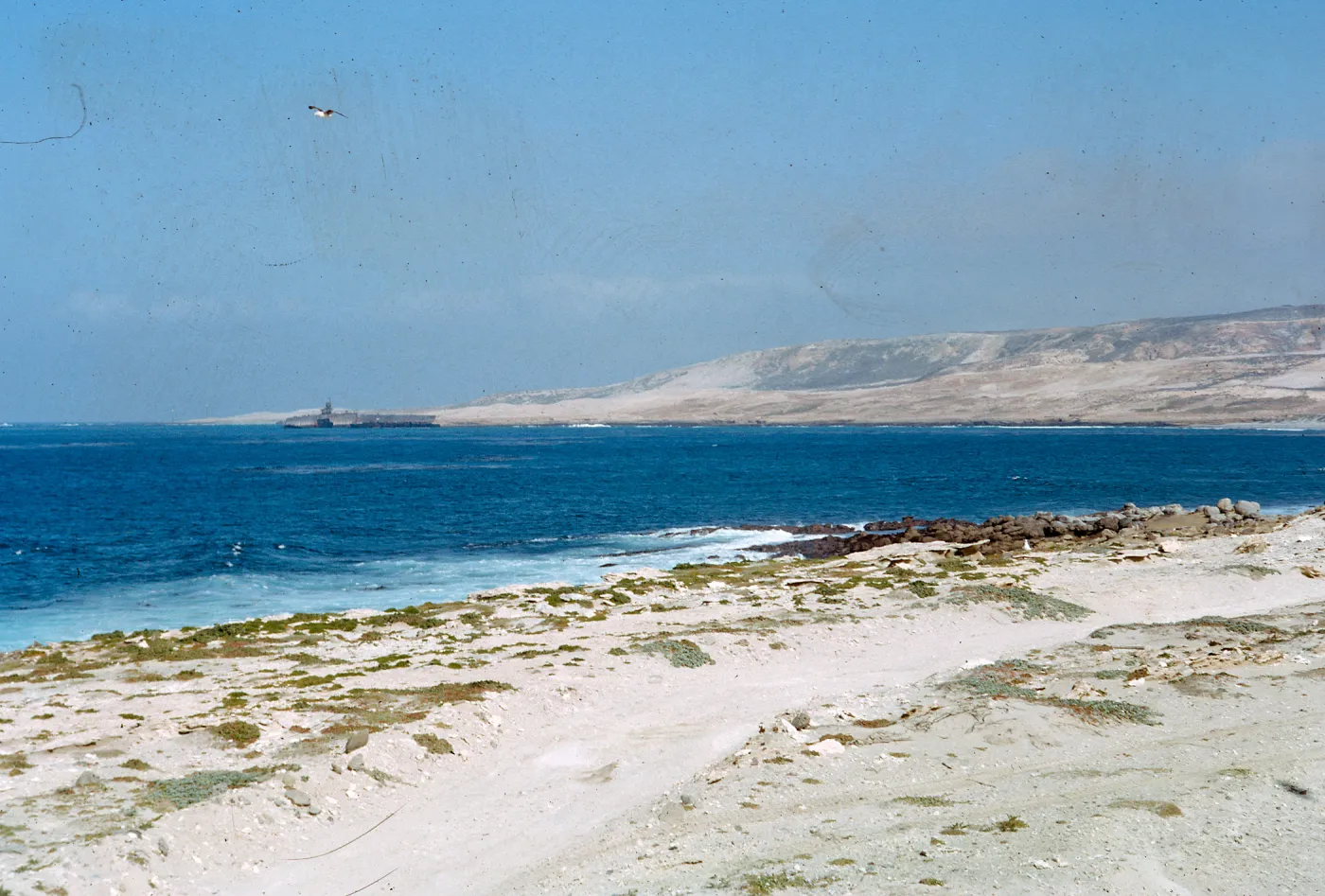 carrier from Northern tip of the island, 66-23 & SN-279