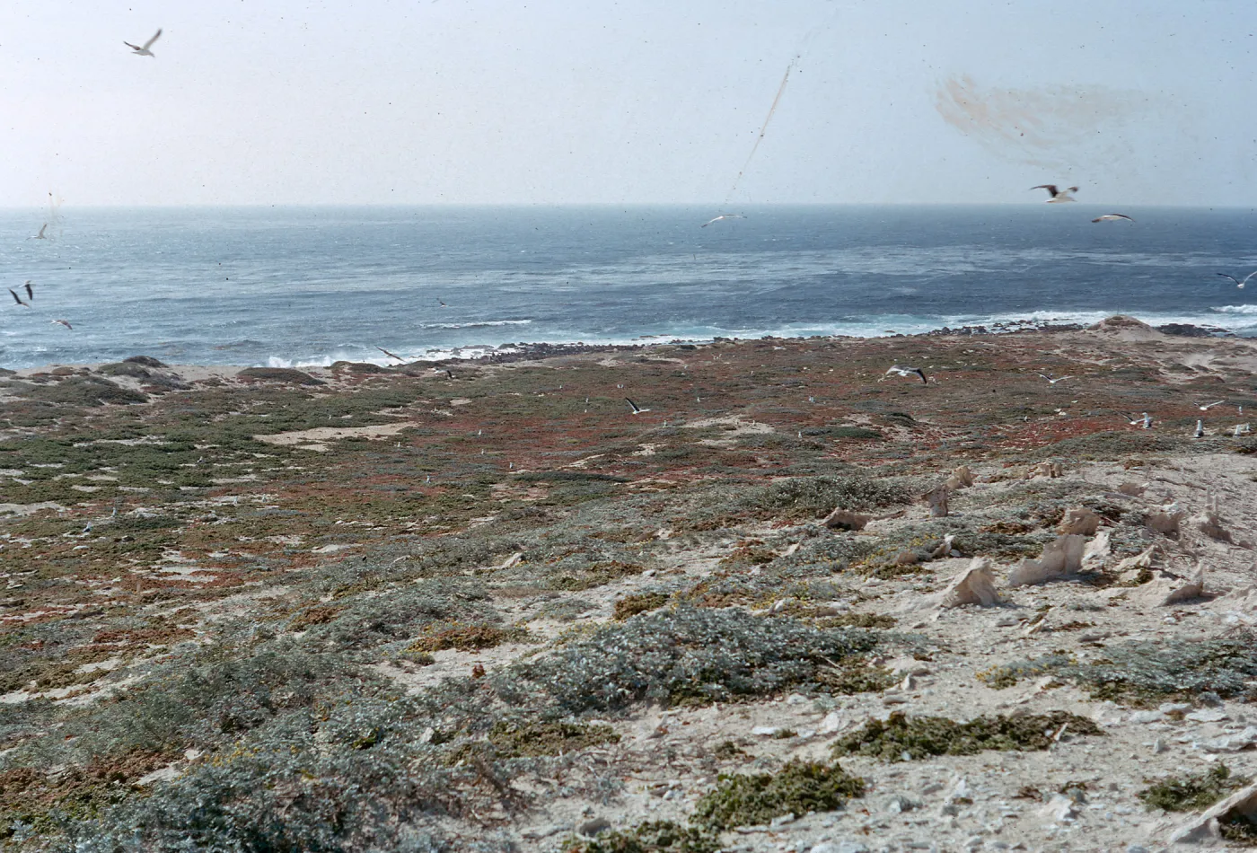 Site 4, 66-26 & SN-282