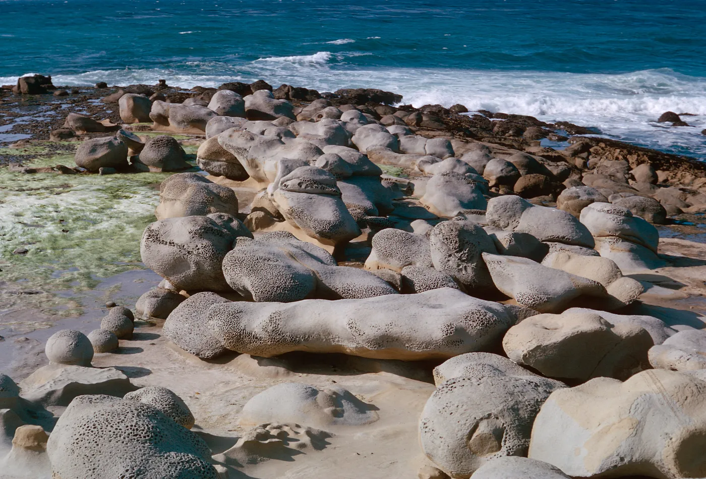 pedestals on carrier reef, 66-34 & SN-290