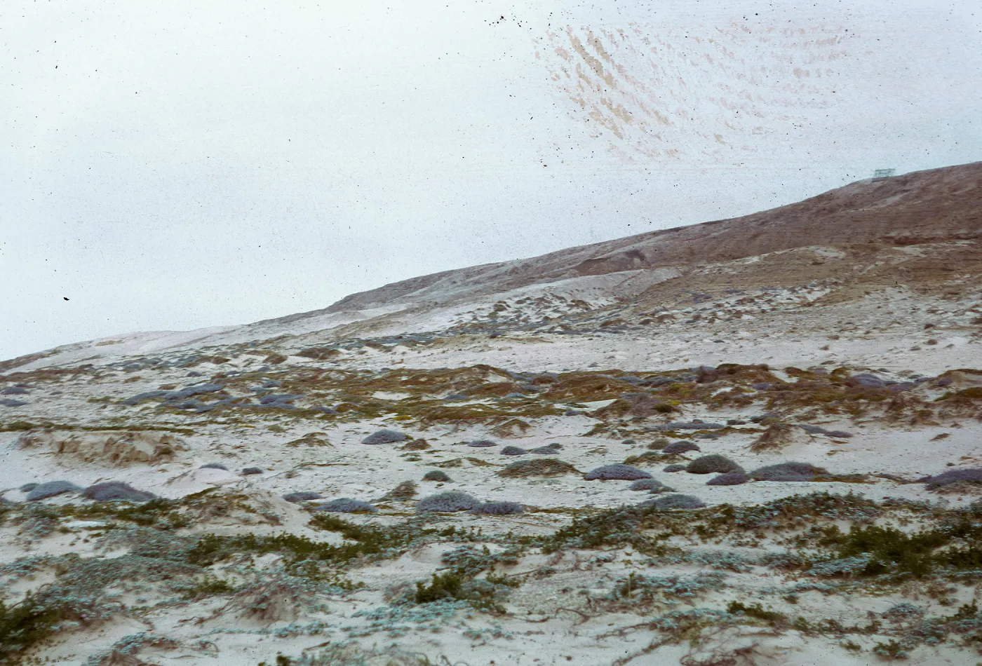 West-Northwest side of escarpment from the beach, 66-49 & SN-305