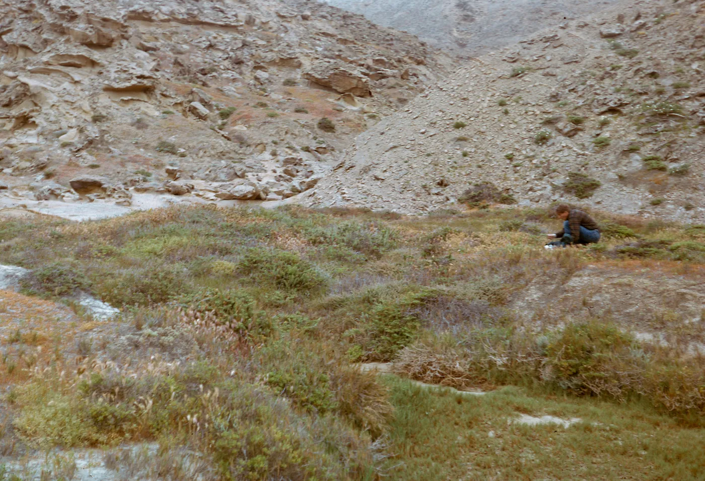 small valley at back of beach area - Dan Smith