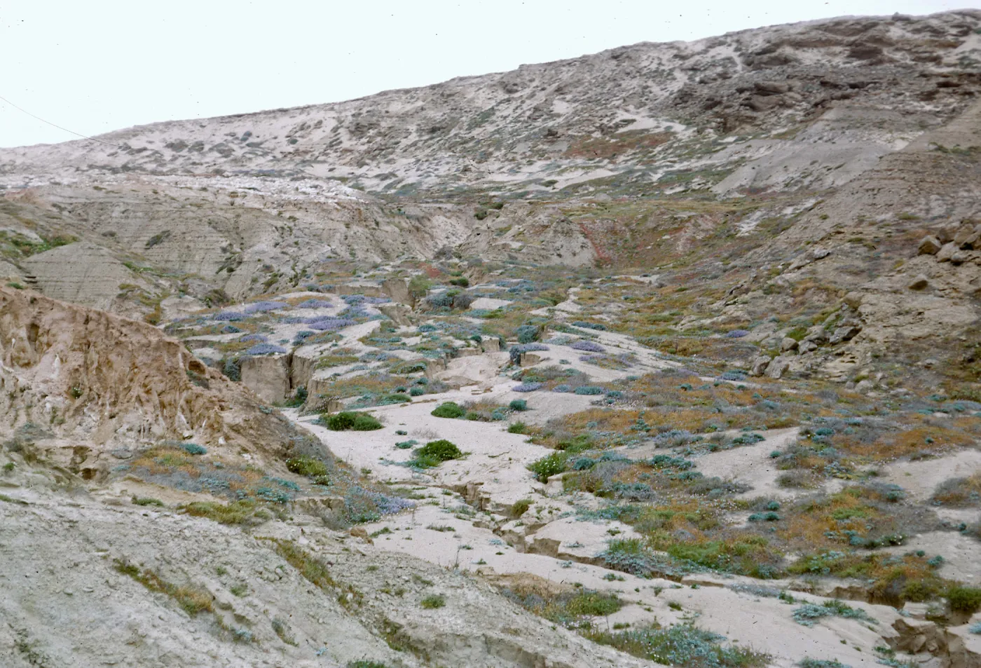 Northwest escarpment from road, up from Seal Beach, 66-69 & SN-325