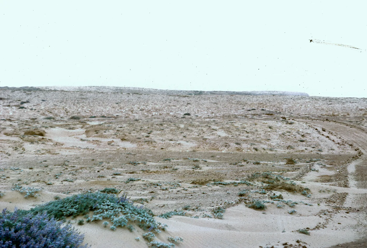 North end of island - sand covered, 66-71 & SN-327