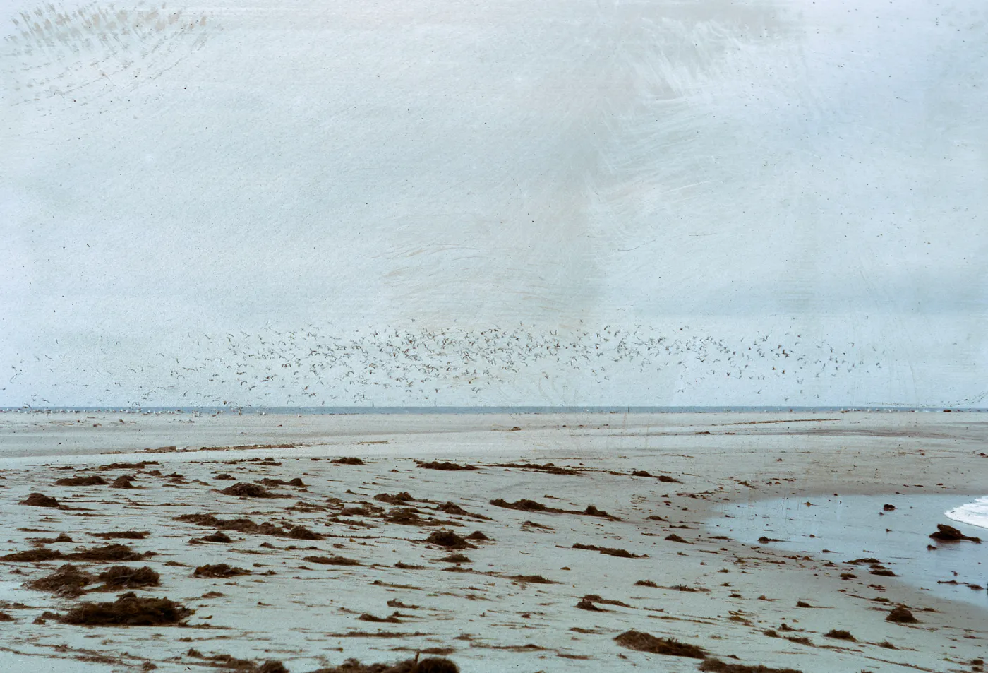 beach - deposits & large airborne flock of gulls, 66-77 & SN-338