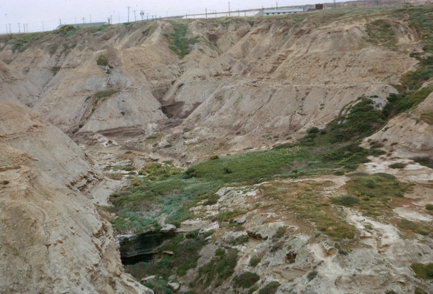 looking up Mineral Canyon, 66-87 & SN-343