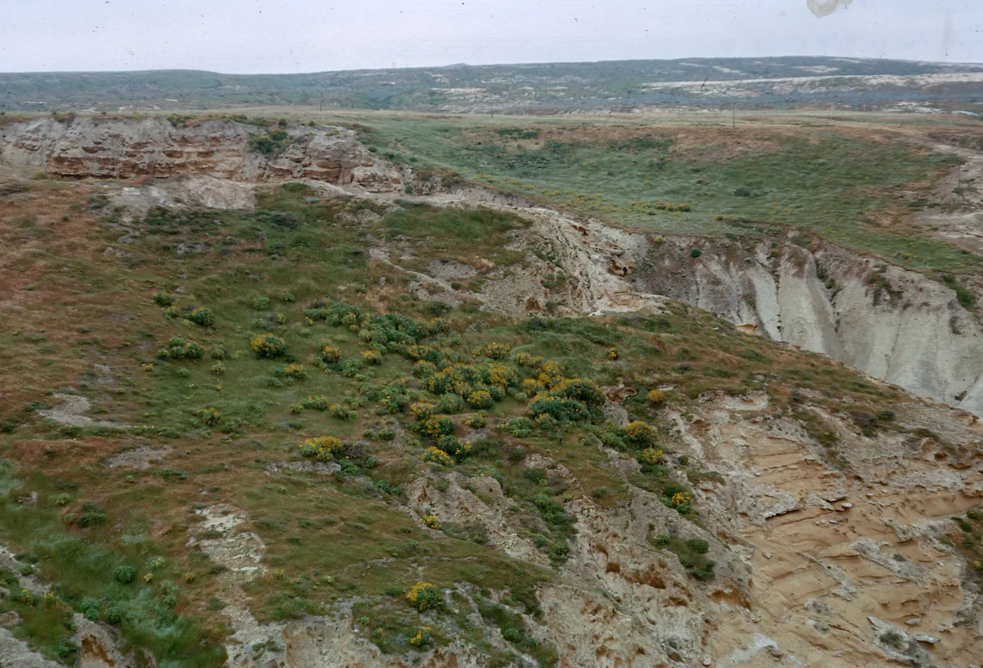 top of the mouth of Mineral Creek Canyon, 66-88 & SN-344