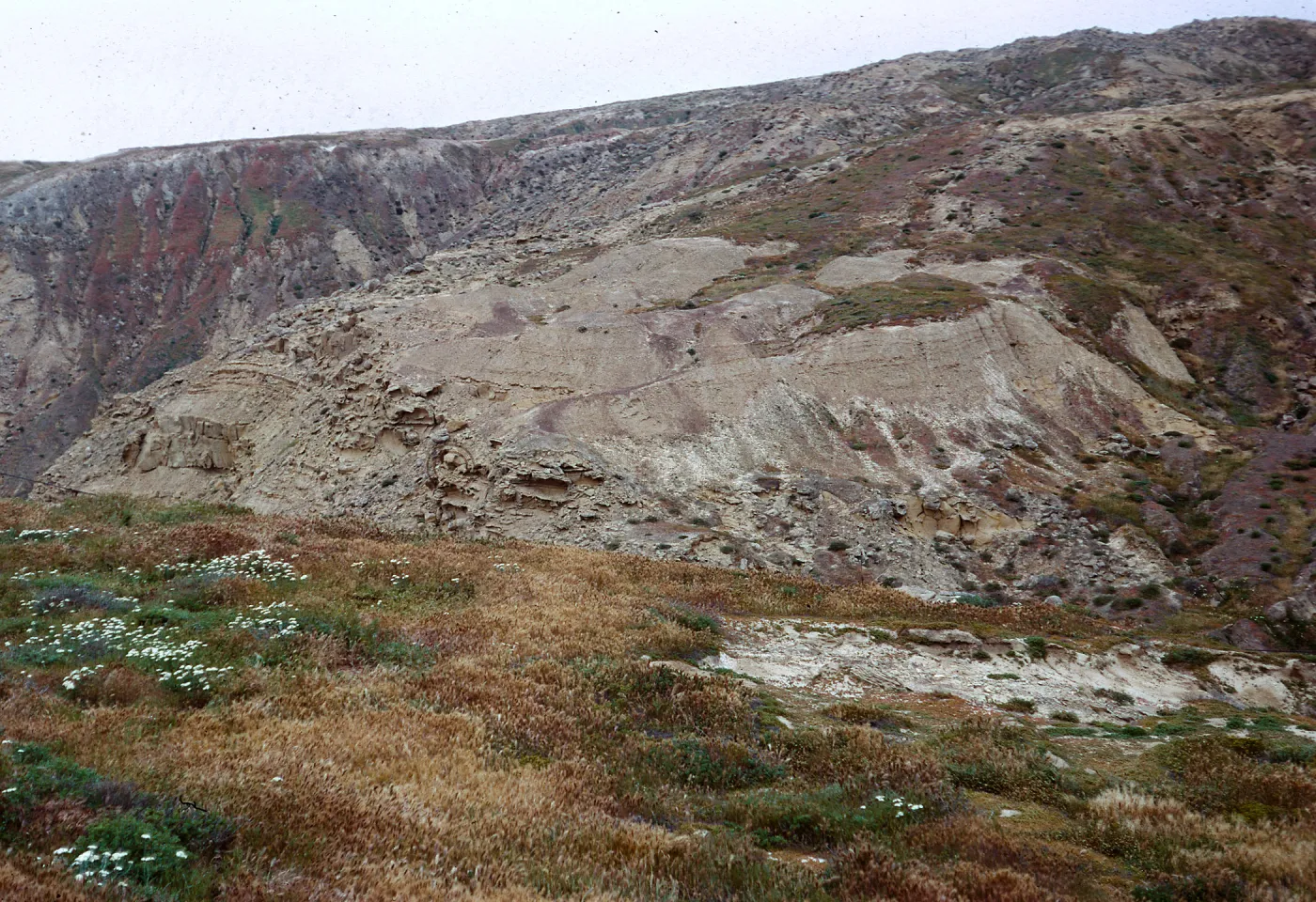 upper slopes od SW-facing escarpment near the Receiver Building, 66-105 & SN-361