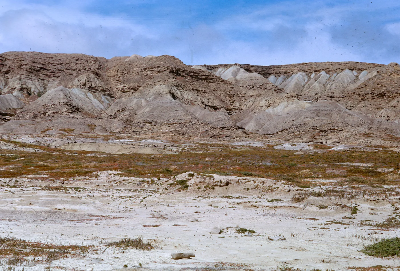 escarpment to North of Dutch Harbor - terrace, 66-119 & SN-375