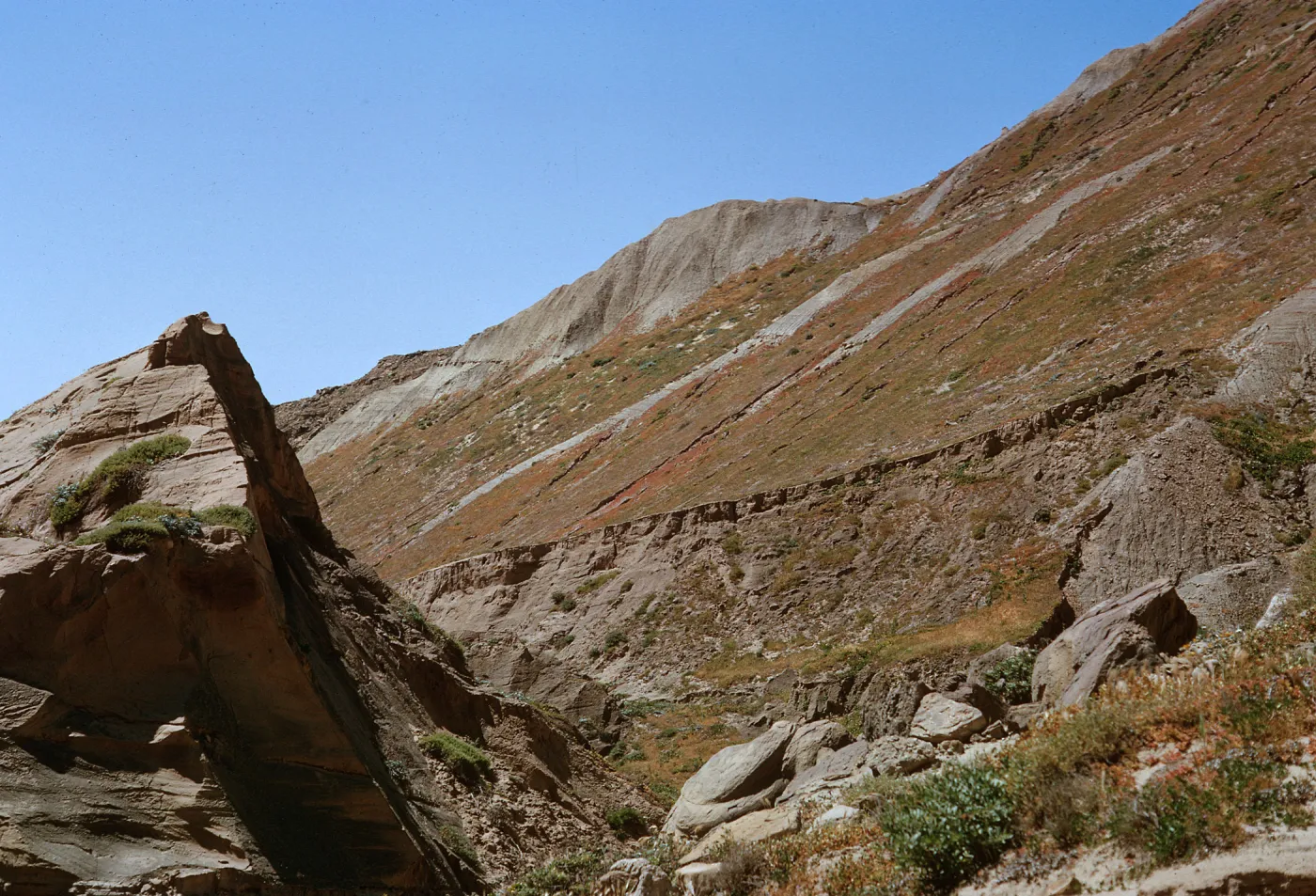 S-facing slope, Sand Dune Canyon, from streambed, 66-152 & SN-408