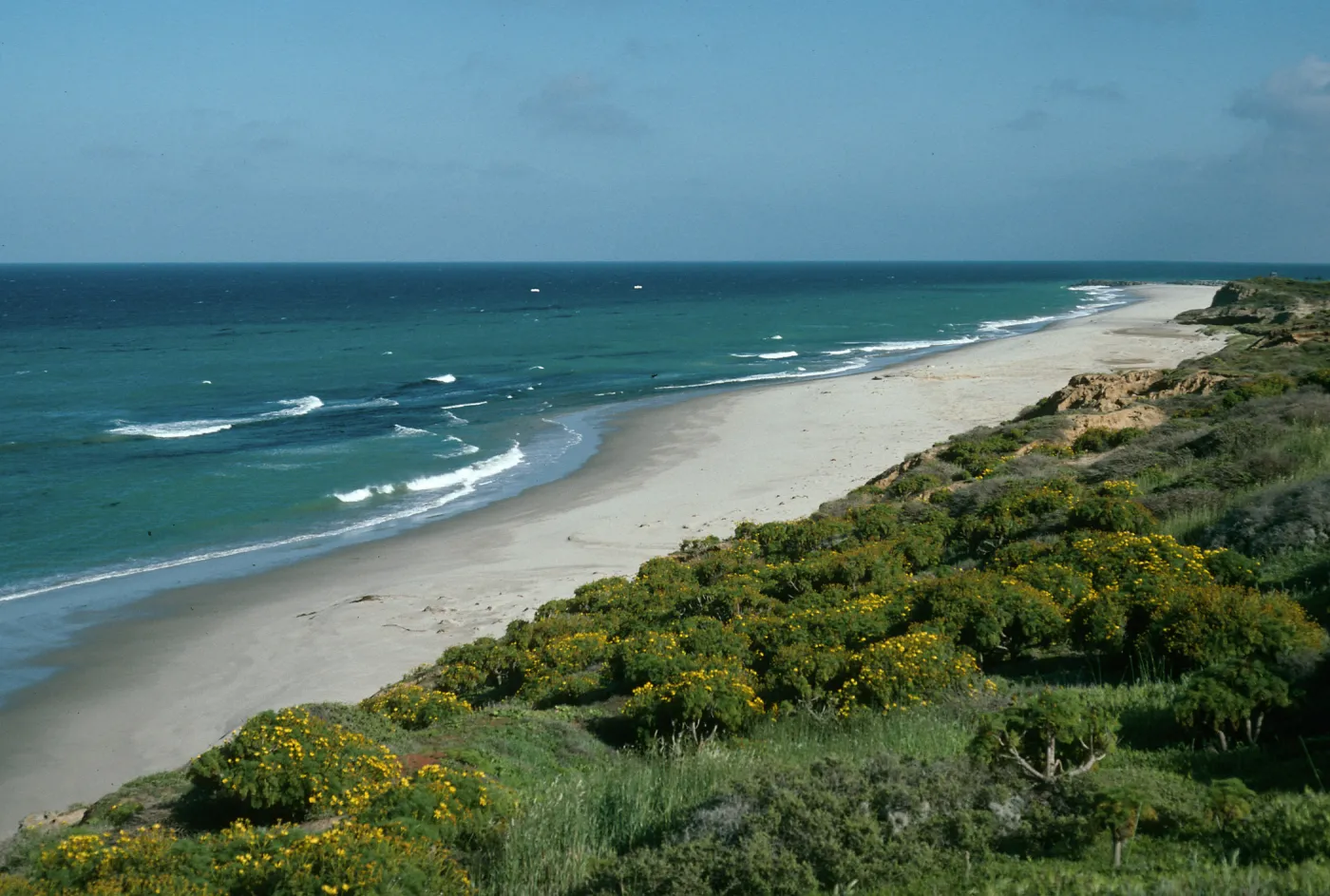 Northeast shore, San Nicolas Island