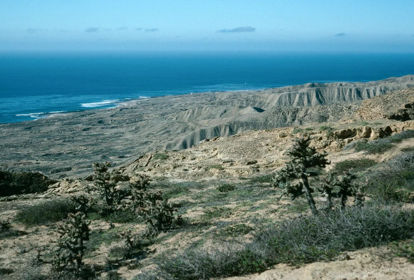 South side, South of Building 121, Looking west, San Nicolas Island