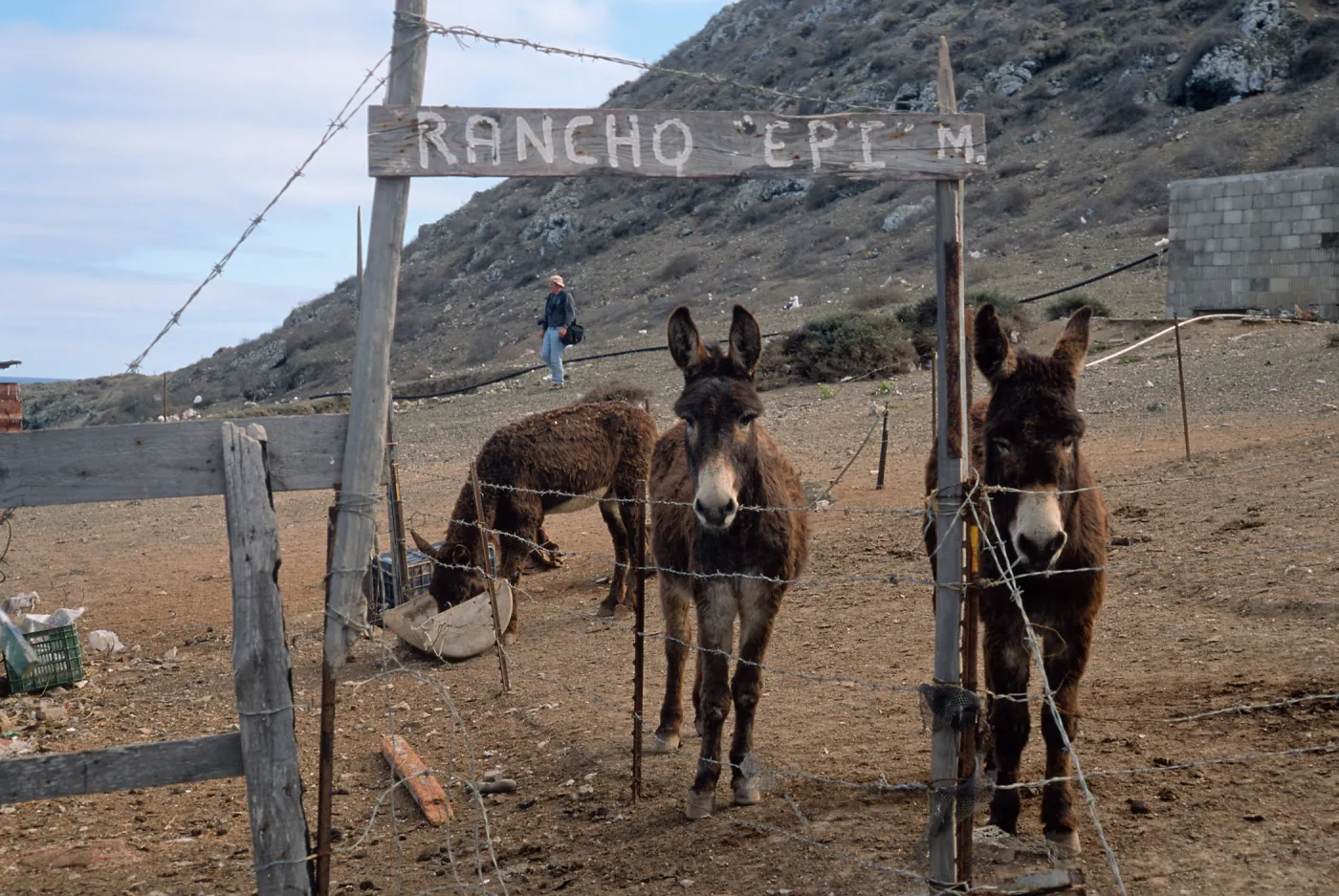 Burros, village, West San Benito Island