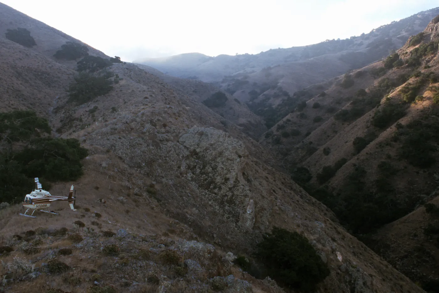 Berberis location & helocopter landing site, Hazard Canyon, Santa Cruz Island