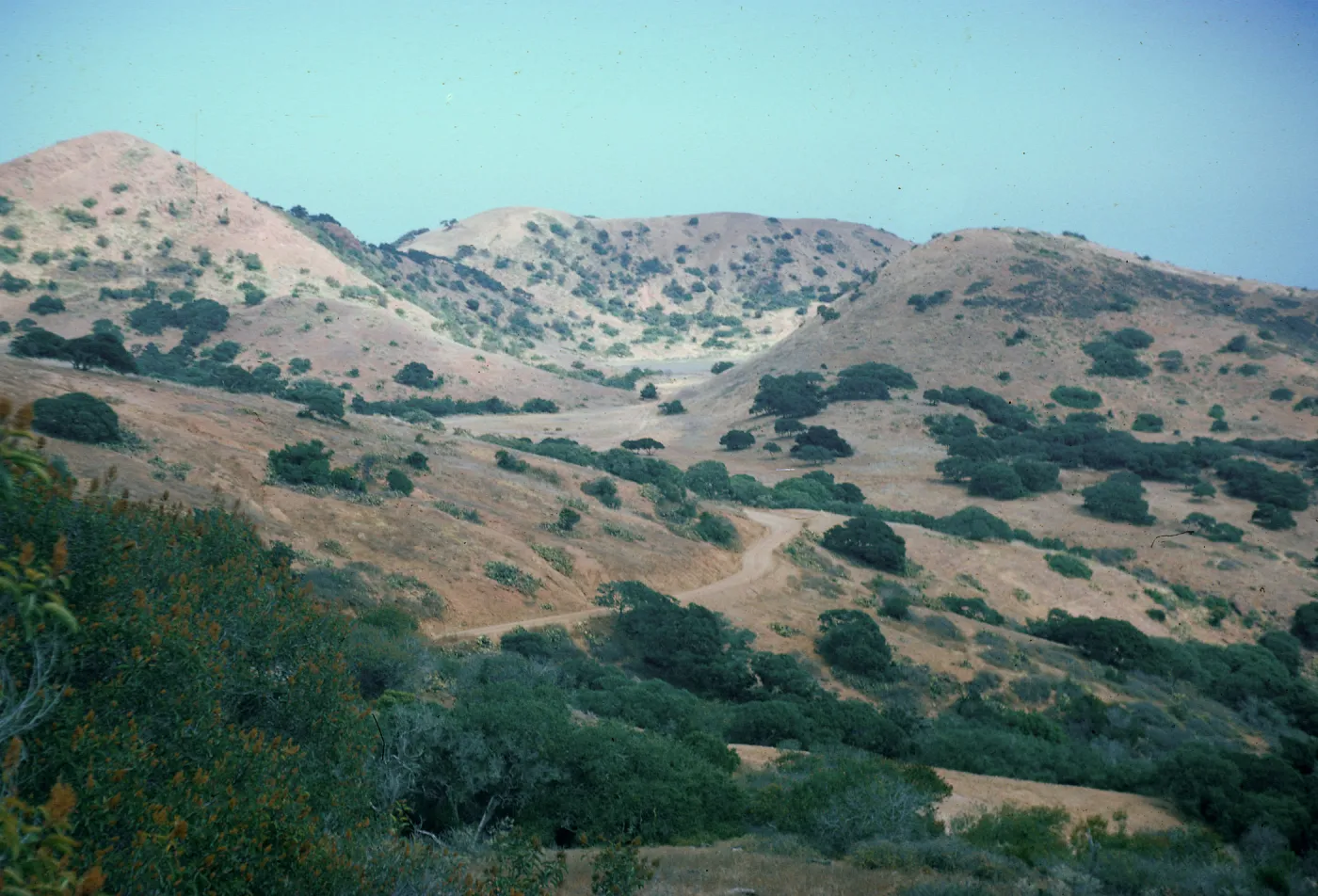 Echo Lake, East of Black Jack Mountain, Santa Catalina Island