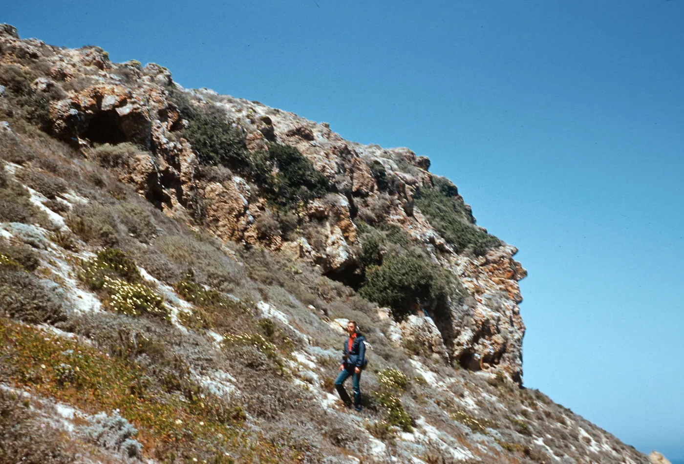 Clif Smith with agate & rhus north of Caldwell Point, San Miguel Island