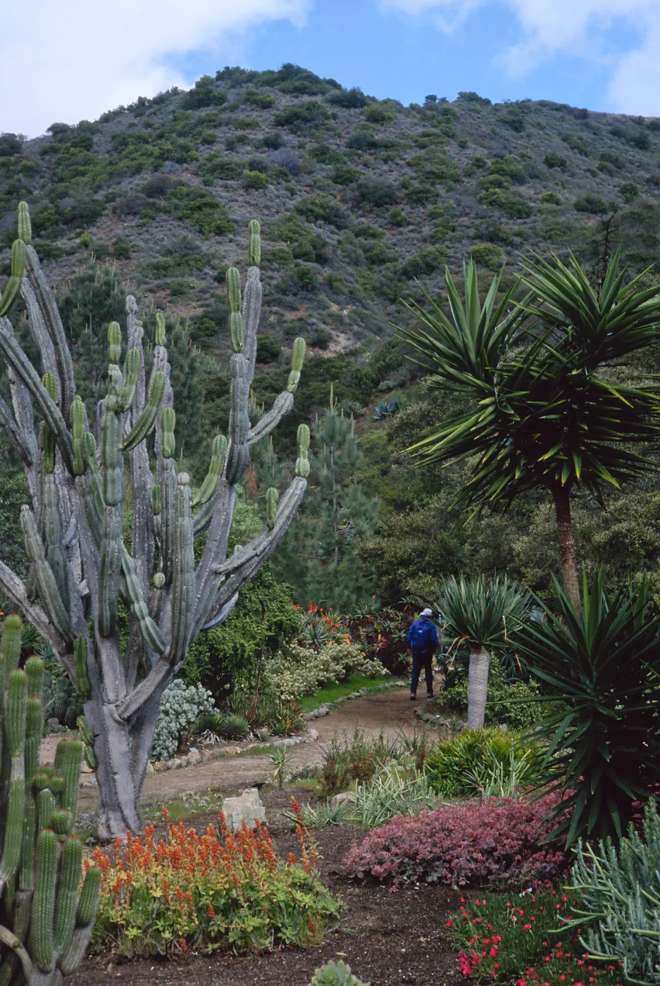 Wrigley Memorial Garden, Avalon Canyon, Santa Catalina Island