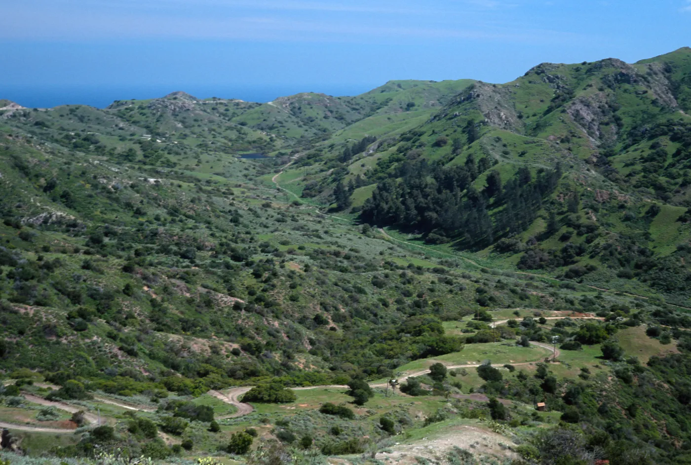 Cape Canyon, Santa Catalina Island