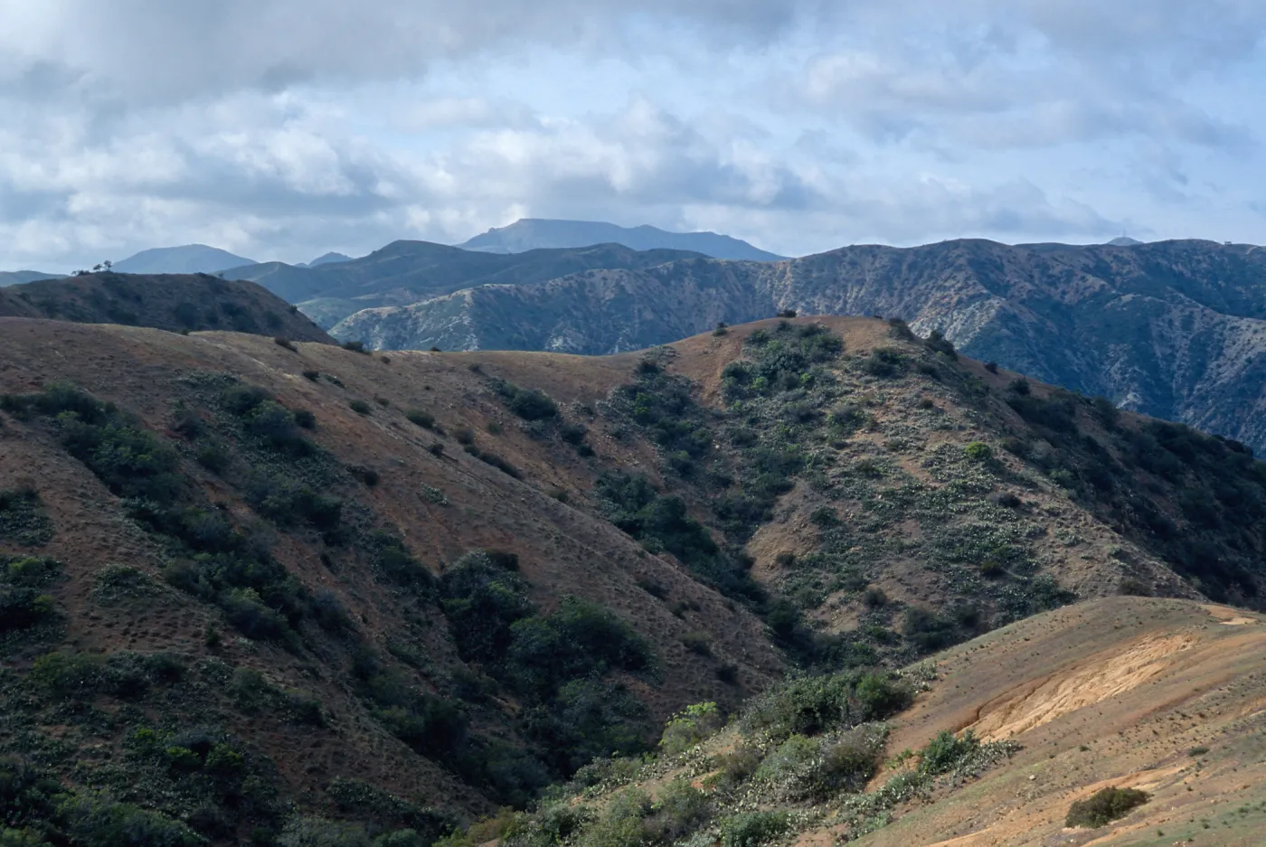 Orizaba Pak (in center) from road to Lone Tree, Santa Catalina Island