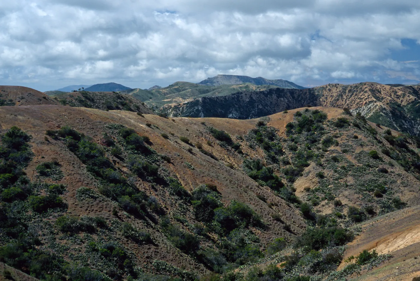 Orizaba Pak (in center) from road to Lone Tree, Santa Catalina Island