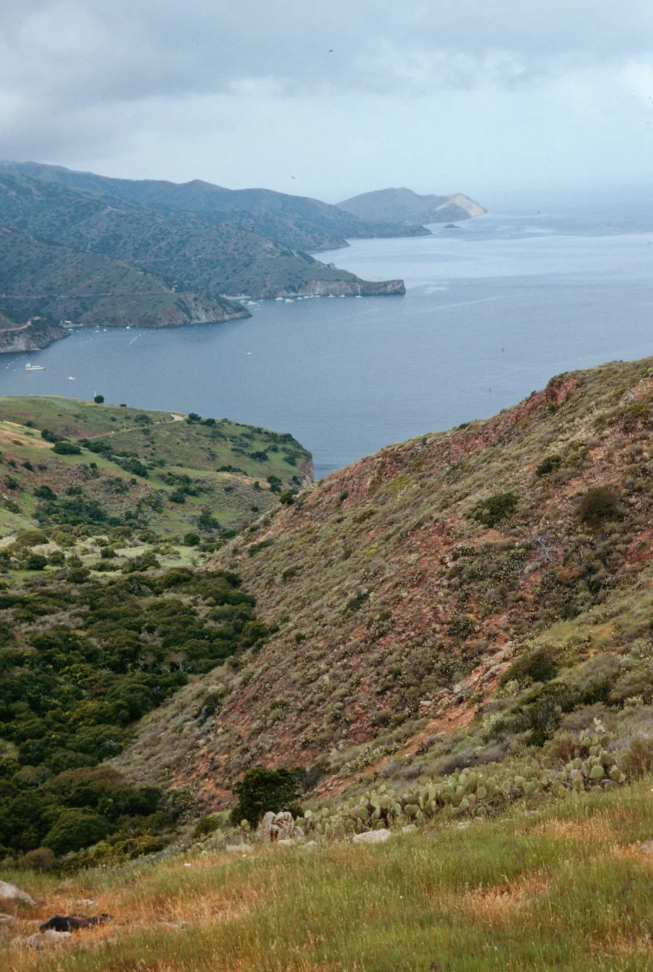 looking West across Isthmus Harbor, Santa Catalina Island