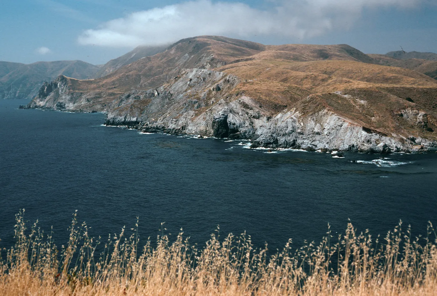 headland, just Northwest of Little Harbor, Santa Catalina Island