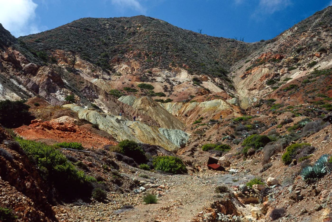 Canada de la Mina, Cedros Island