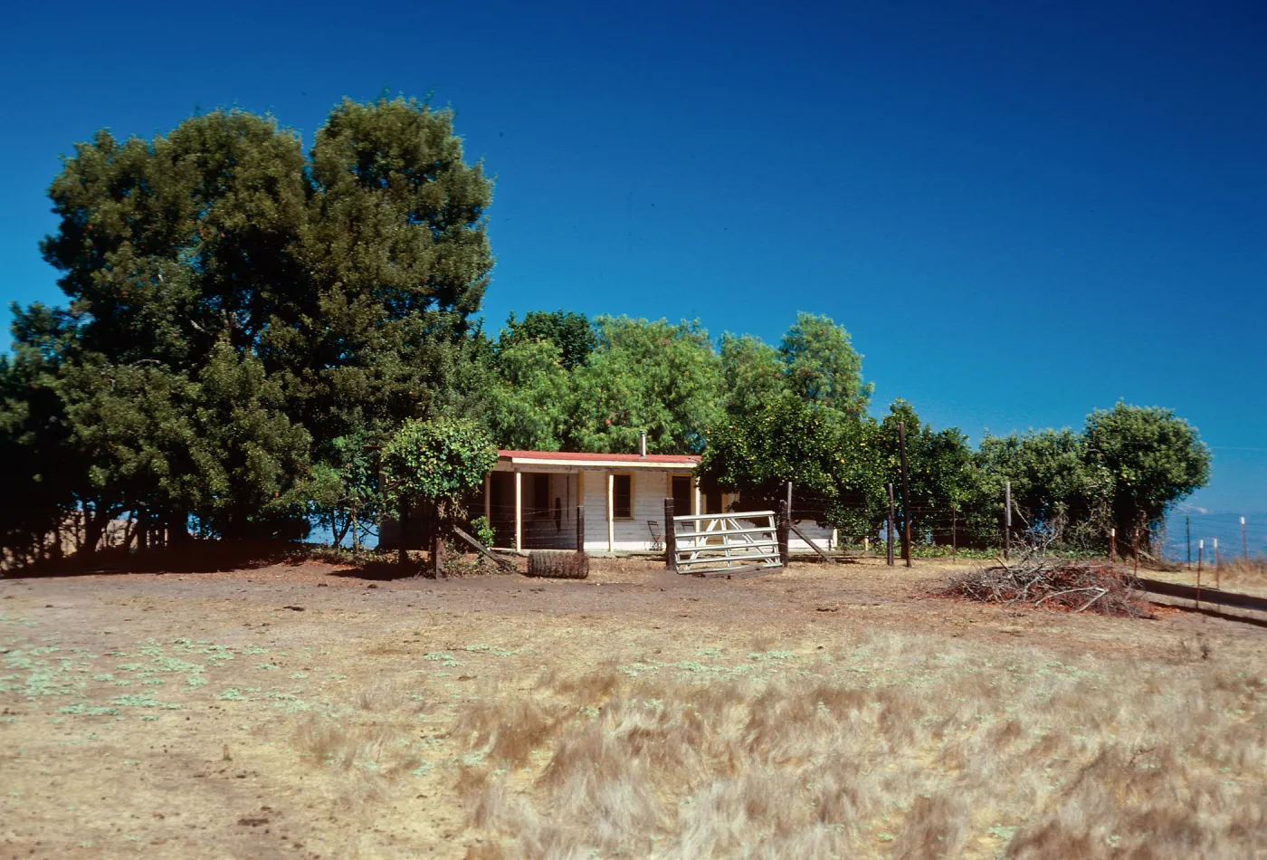 Campo Del Norte, Santa Cruz Island