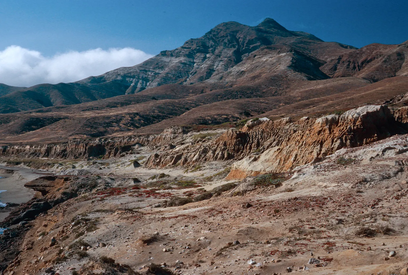 Playa Larga, West of Punta Arena, Santa Cruz Island