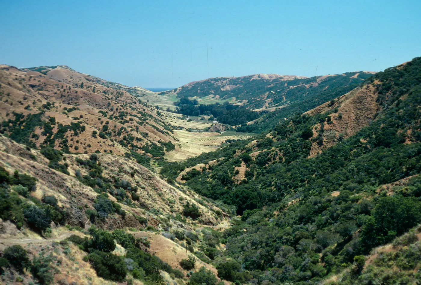 Santa Cruz Island Central Valley