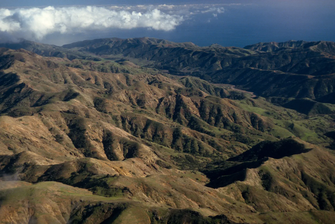 north ridge & Central Valley, Santa Cruz Island