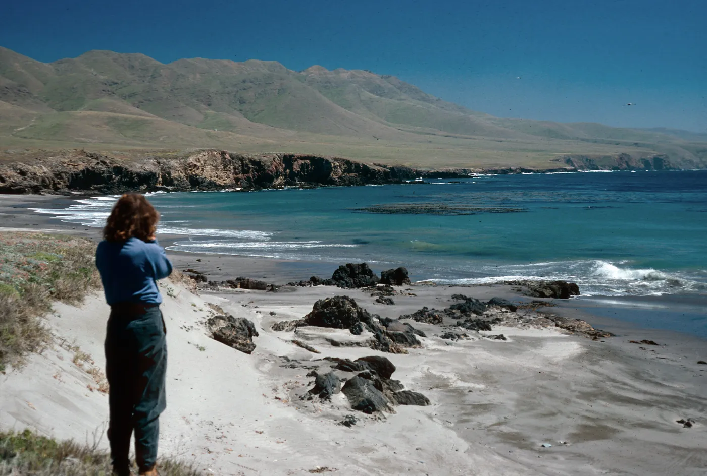 Forneys Cove, Santa Cruz Island
