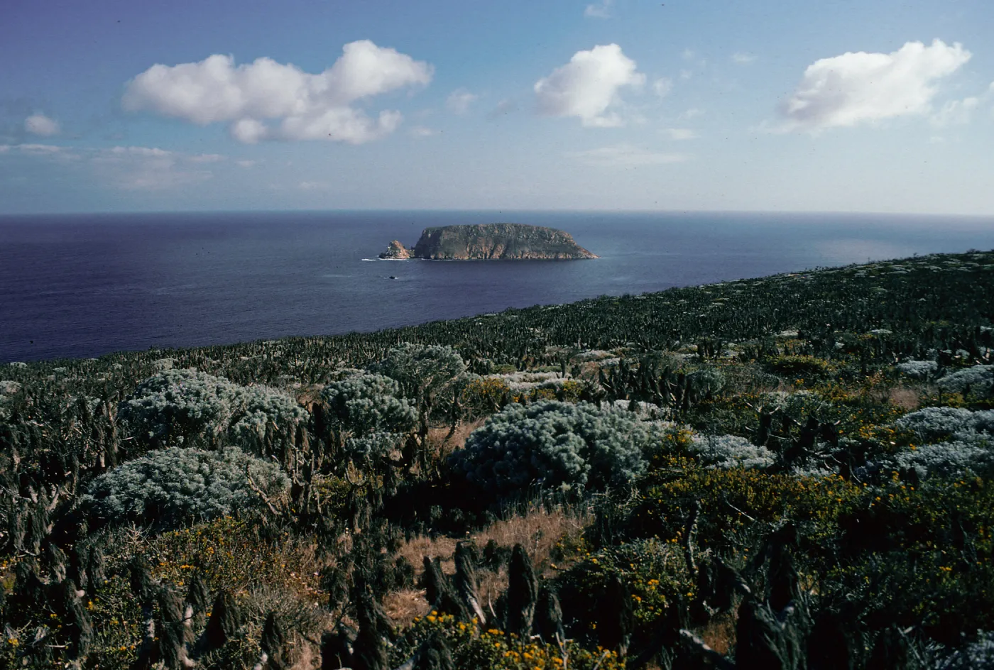 Prince Island view, San Miguel Island