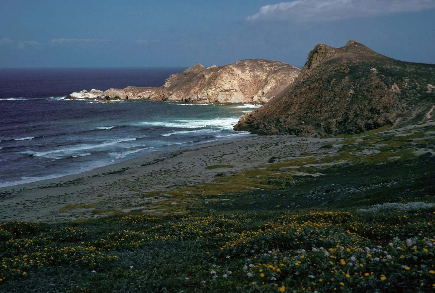view of Harris Point & Lester Point, San Miguel Island